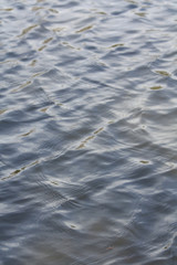 Water ripples
