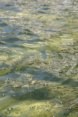 Shallow rippling water
