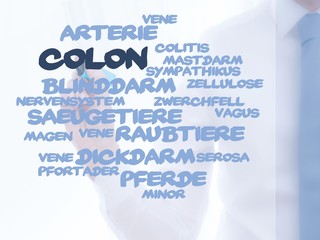 Colon