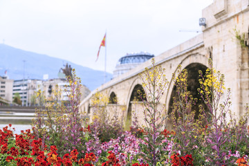 Flowers around Vardar River and the Ottoman Stone Bridge, Skopje