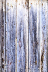 Grunge wooden panels texture background