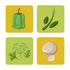 set vegetables fresh harvest healthy image vector illustration