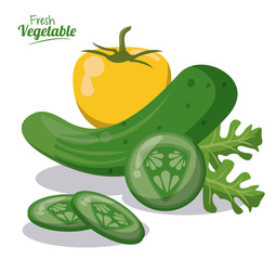 fresh vegetables cucumber lettuce pepper image vector illustration