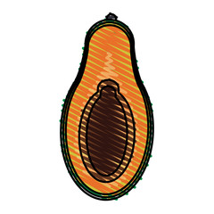 color crayon stripe front view slice avocado fruit food vector illustration