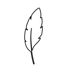 feather icon over white background. vector illustration