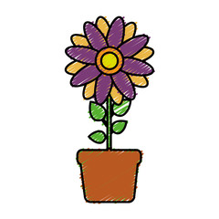 flower in a pot icon over white background. colorful design. vector illustration