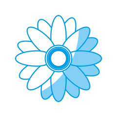 beautiful flower icon over white background. vector illustration