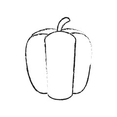 blurred silhouette peppers vegetable food vector illustration