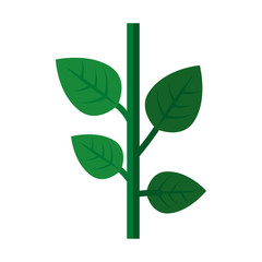 stem with leaves icon over white background. vector illustration