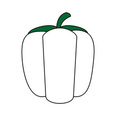 sketch color silhouette peppers vegetable food vector illustration