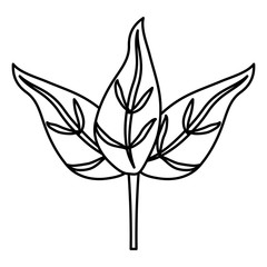 leaves icon over white background. vector illustration