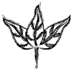 leaves icon over white background. vector illustration