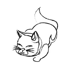 cat animal pet adorable sketch vector illustration