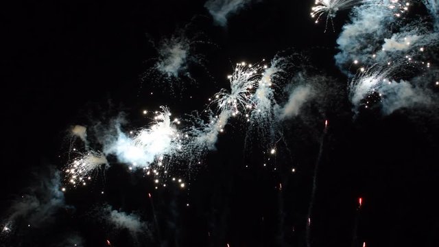 Fireworks exploding in the dark night sky