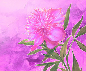 Hand drawn cartoon illustration of a pink peony flower