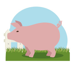 pork farm animal icon vector illustration design