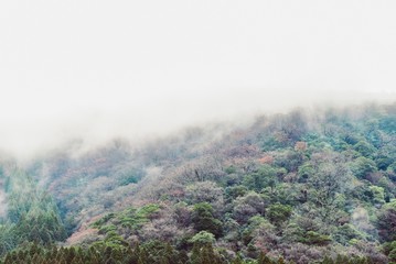 Misty Mountaintop Background