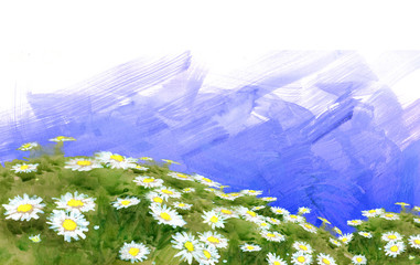 Hand drawn cartoon illustration of a beautiful camomile flower meadow