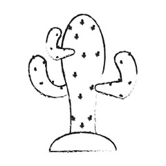 blurred silhouette cactus desert plant with thorny vector illustration