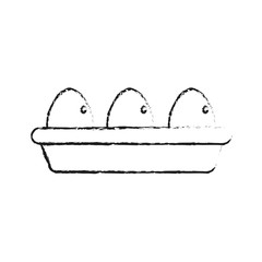 blurred silhouette fresh chicken eggs in box vector illustration