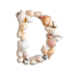 various sea shells capital D on isolated white background with clipping path.