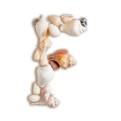 various sea shells capital F on isolated white background