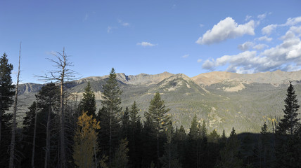 Mountain rises above the trees