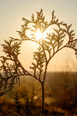 Sunset in Minsk