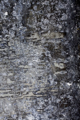 Textured stone