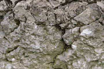 Stone texture