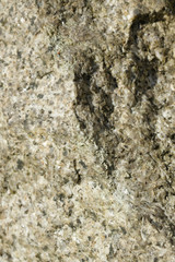 Textured wall backdrop