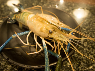 fresh shrimp on dish in restaurant