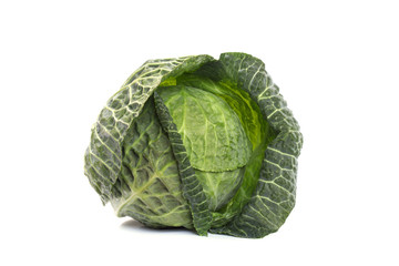 Fototapeta premium One head of young cabbage