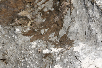 Stone texture