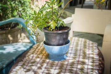 Outdoor Furniture Set For Afternoon Drink