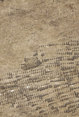 Chipped Stone