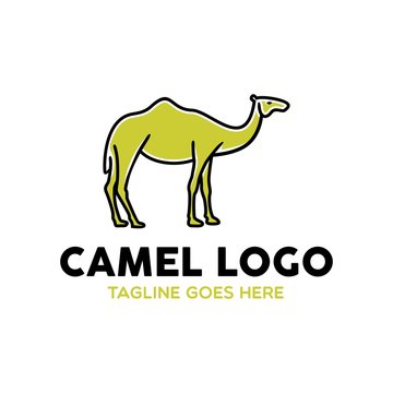 Unique Camel Logo Template