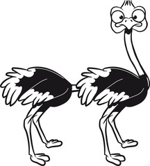 strauss emu witzig arsch