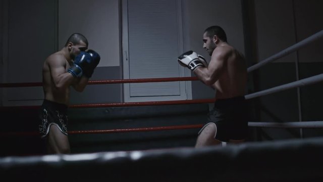 Handheld shot with slow motion of muscular shirtless MMA athletes throwing punches and leg kicking in boxing ring 