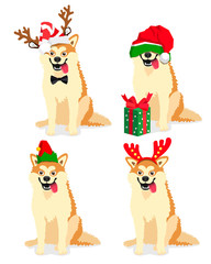 Akita Inu dog in a New Year's cap
