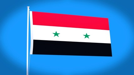 the national flag of Syria 