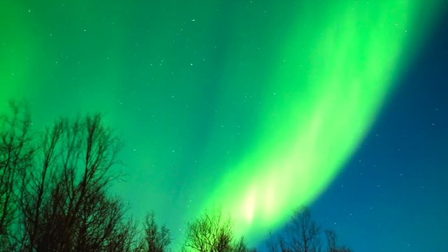 Northern Lights, polar light or Aurora Borealis in the night sky