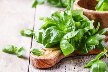 Fresh green basil in olive mortar with pestle, vintage wooden background, rustic style, selective...