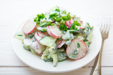 Cucumber salad, radish and green onions