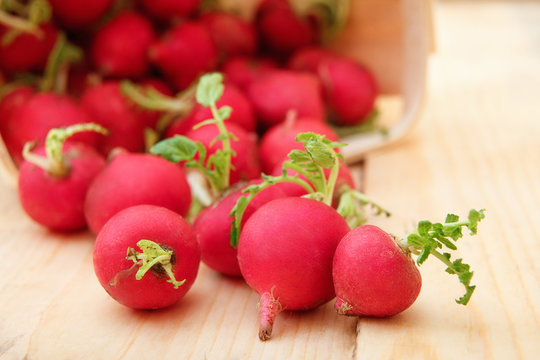 Fresh young radish on wooden boards