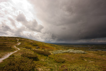 Path in rugged nature