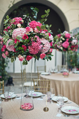 Tall vases with pink hydrangeas stand on beige tables outside