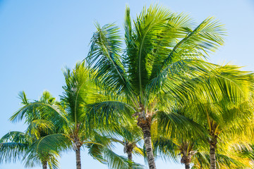 Obraz premium Beautiful Mantanzas Cuba 