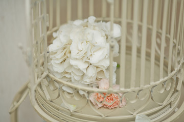 White hydrangeas in white bird cage