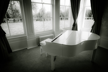 White Baby Grand Piano